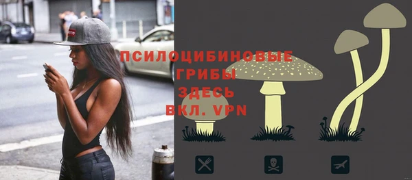 ECSTASY Аркадак